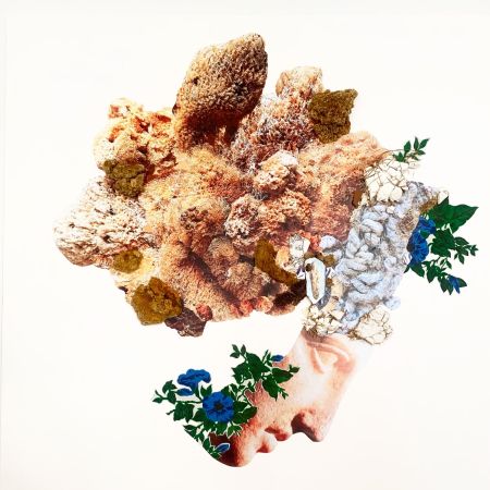 Porifera, de Lisa Rubin