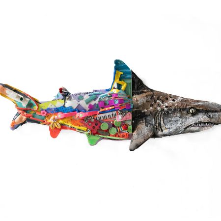 Half-Shark, de Bordalo II