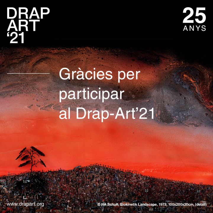 Gràcies per participar al Drap-Art’21!