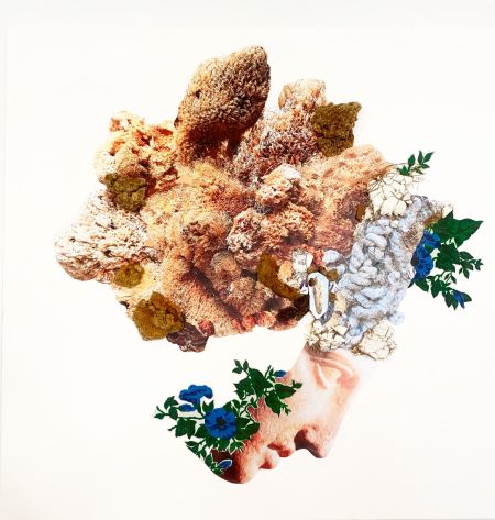 Porifera, de Lisa Rubin