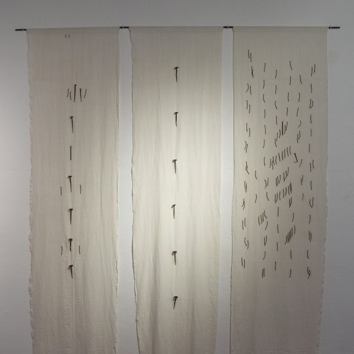 Rosa Puig i Torres
