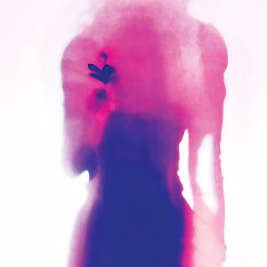 Bahareh Shahin