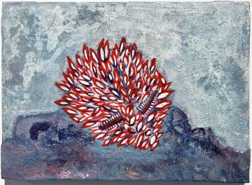 Janolus-Puntos, de Anna Roser