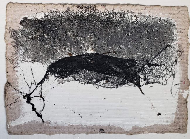 Xavier Pons