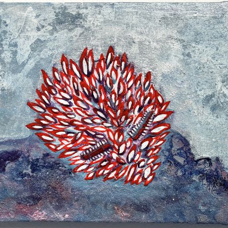 Janolus-Puntos, de Anna Roser