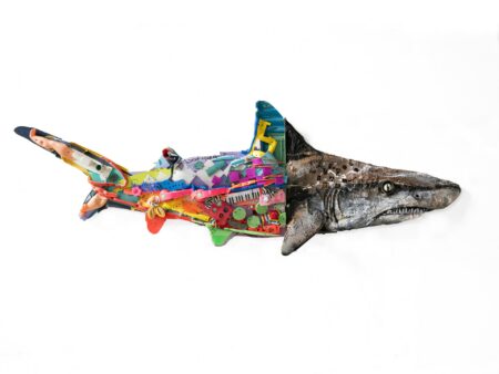 Half-Shark, de Bordalo II